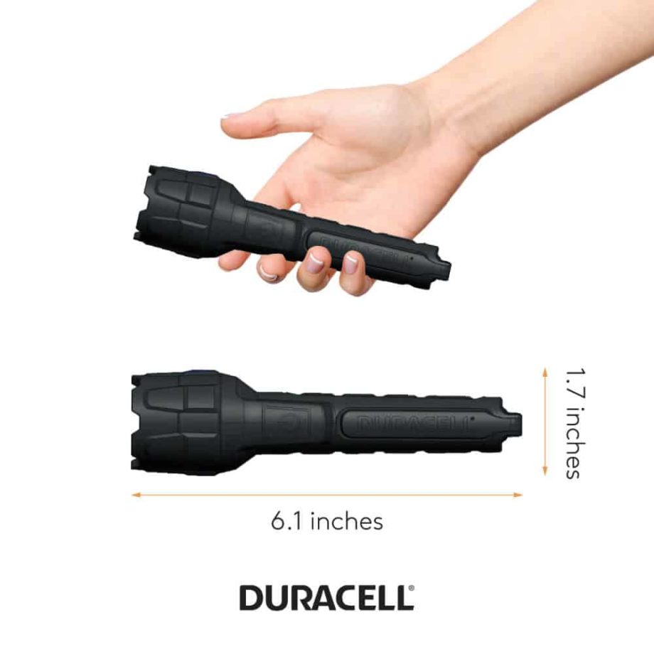 person holding flashlight for scale
