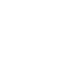 Shopping Bag Custom Icon